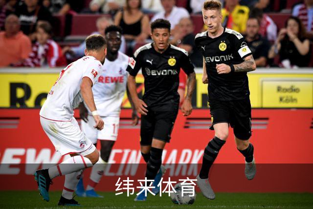 纬来体育公司简介